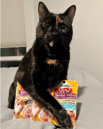 Peekage community image 8